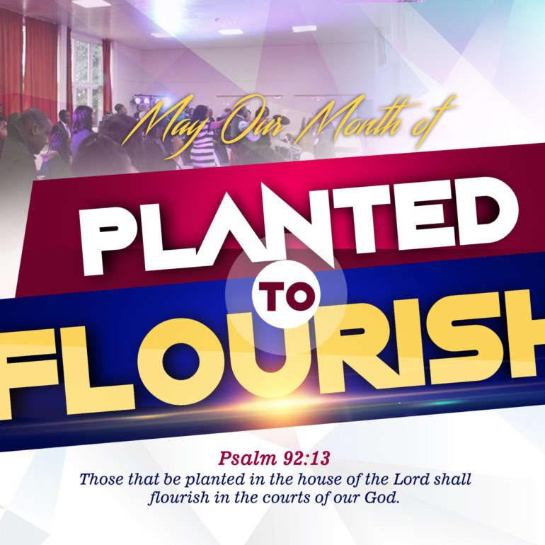 Welcome to May Our Month of Planted to Flourish